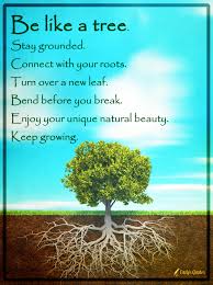 What champollion will decipher this hieroglyphic for us, that we may turn over a new leaf at last? Be Like A Tree Stay Grounded Connect With Your Roots Turn Over A New Leaf Popular Inspirational Quotes At Emilysquotes