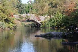 A young woman who has tragically lost the love of her life stumbles upon a powerful phenomenon while grieving at a place very special to them, a small pond. The Pond New York City 2021 All You Need To Know Before You Go With Photos New York City Ny Tripadvisor