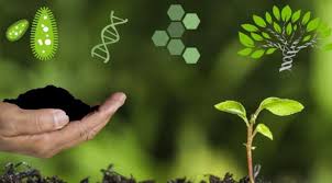 sử dụng phân bón lá NPK vi lượng sinh học