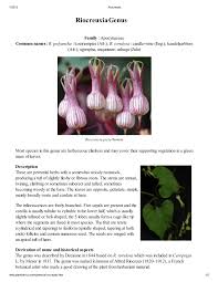 Image result for Riocreuxia