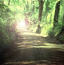 Old Stagecoach Road Said To Haunted In Caddo Texas Haunted Places Most Haunted Real Haunted Houses
