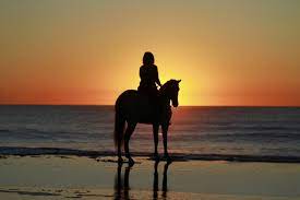 Stop as the sun begins its daily descent, and you'll see the lights of the las vegas valley far below. Best Beach Horseback Riding Tips Horse Rider