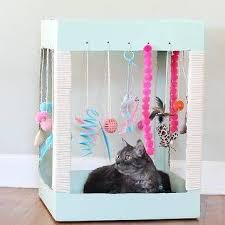 It takes approximately 10 minutes. Diy Cat Toys The Best Way To Make Cat Toys With A Card Facebook