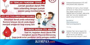 Pamflet kegiatan merupakan jenis pamflet yang dibuat untuk menyampaikan informasi. Thalassemia Movement Terima Kasih Untuk Yang Berani Donor Darah Di Tengah Pandemi Halaman All Kompas Com