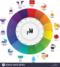 The Ph Scale Universal Indicator Ph Color Chart Diagram