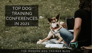Maybe you would like to learn more about one of these? Events Archives The Modern Dog Trainer