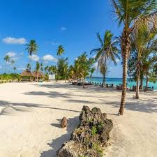 Fruit Spice Wellness Resort Zanzibar Nestled Between A Nature Reserve And The Sea Fruit Spice Wellness Resort Zanzibar Is L Wellness Resort Zanzibar Resort