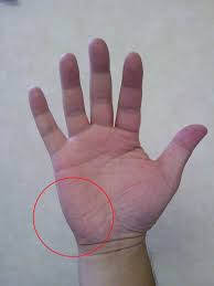 吉澤整骨院 - FC2