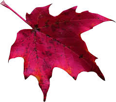 Image result for tumblr red background