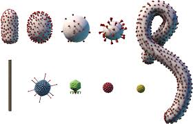 Image result for Virus