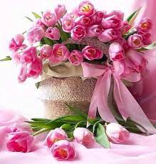 Buon compleanno con tulipani rosa. Moment Fiori Di Compleanno Rose Belle Foto Di Fiori