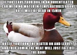 25 saucy memes that will make you cream your jeans. Hot Days Are Coming Remember Our Furry Friends Meme On Imgur