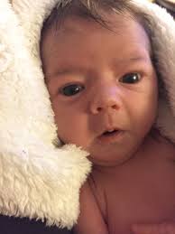 Congratulations Don Laffoon