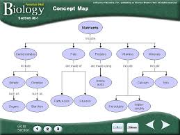 Digestive Excretory Systems Chapter 38 Introductory Questions 1