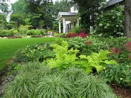 Pin By Rebecca Higginbotham On Outside Space Deer Resistant Landscaping Deer Resistant Garden Shade Perennials