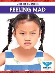 K-12 Digital Literacy Solution — Big Universe