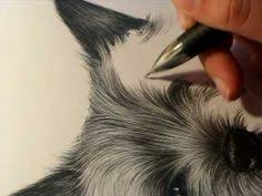 Yuok Sarin Yuoksarin On Pinterest
