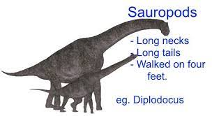List of dinosaurs dinosaur illustrations listed a to z. Different Types Of Dinosaurs For Kids