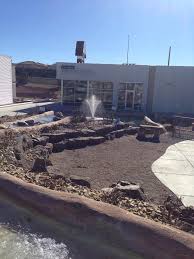 Så du kan njuta av din egen swimmingpool och bastu. Desert Pools And Spas Inc Home Facebook