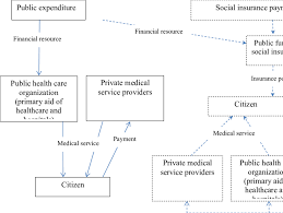 Structure Of Implying The Public Health Insurance Download