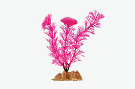 Besimple aquarium coral ornaments decor fish tank plants decoration for aquarium landscape,purple. Everything You Need To Build Your Own 80s Aquarium The Strategist