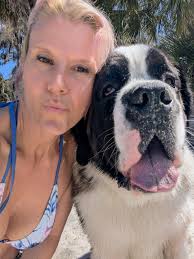 Rescue of a Saint Bernard in Elkins, West Virginia