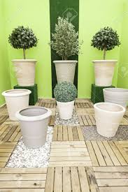 Dekoration in form von asiatischen schriftzeichen oder yin und yang. Topfpflanzen Fur Die Dekoration Detail Einige Pflanzen In Einem Zen Garten Dekoration Und Flora Pflanzen Und Blumen Lizenzfreie Fotos Bilder Und Stock Fotografie Image 21560514