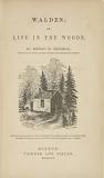 Image result