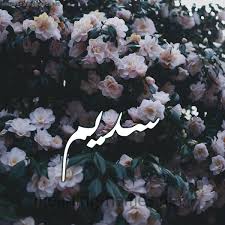 صور اسم س ديم قاموس الأسماء و المعاني