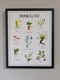 We did not find results for: Magical Plants Watercolor Print Harry Potter Herbology Chart 11 X14 Watercolor Print Watercolor Plants Watercolor And Ink