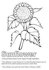 Get this free summer coloring page and many more from primarygames. Parentune Free Printable Sunflower Coloring Pages Sunflower Coloring Pictures For Preschoolers Kids