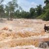 When a droplet of water falls onto the land (as precipitation), gravity will make sure that the water is a major component of the water cycle is the drainage basin system. Https Encrypted Tbn0 Gstatic Com Images Q Tbn And9gctghdknk7h9burw Bv8ub7uhxl Wm5p1msidutc7vssmj2hf2hy Usqp Cau