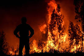 From demo ii by incendio. Incendio Em Portugal Deixa Ao Menos 30 Pessoas Feridas 21 07 2019 Mundo Folha