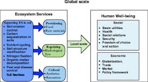 These are often cheap, but if you're an ironman or cannot afford one, fear not! Evaluating The Economic And Social Impact Of Soil Microbes Springerlink