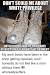 Timberland Work Boots