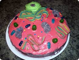 This is a good example for animal cell project | science project. How To Make An Animal Cell Cake Delishably