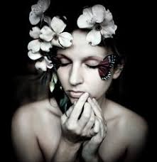 Weird and Wonderful.