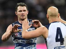 Dangerfield, mitch duncan, mark blicavs and mark o'connor will all return from respective injuries for the adelaide oval clash. Dangerfield Praised For Afl Starring Role Illawarra Mercury Wollongong Nsw