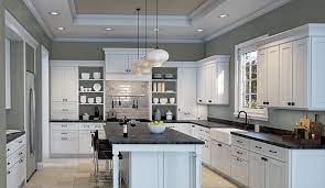 Sherwin Williams Acacia Haze Paint