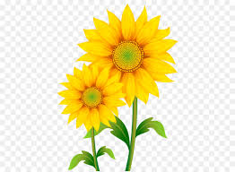 What are you looking for? Flowers Cartoon