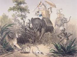 Tiger hunting scene on the back of an ...