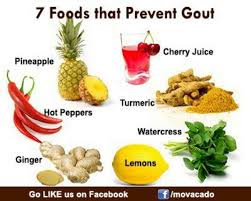 Foods For Gout Gout Recipes Gout Gout Diet