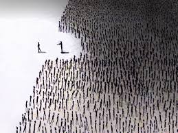 「Mastodonとロリコン」著者が伝えたかった、分散型SNSの可能性 | WIRED.jp