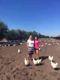 Het laatste hardnieuws nieuws uit de plaats leersum in de provincie utrecht lees je overzichtelijk op onze nieuwswebsite, nieuws dat je raakt! Het Eitje Is Weer Populair Bericht Rtl Pluimveeweb Nl Nieuws Voor Pluimveehouders