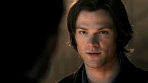 Sam and the Mystery of the Missing Soul