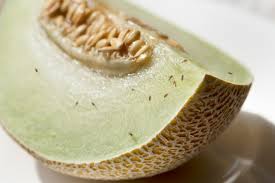 Comment Se Debarrasser Des Mouches A Fruits 3 Meilleures Facons De Tuer Les Mouches A Fruits