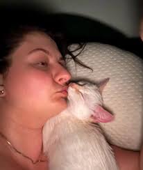 The sweetest sleepy lovey Loki ♥️