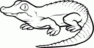 If you liked them then please share them with your friends. Coloring Pages Of Baby Crocodile Coloring Home