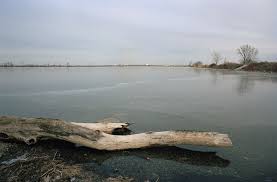 Maybe you would like to learn more about one of these? Robertsdale Hammond Wikipedia