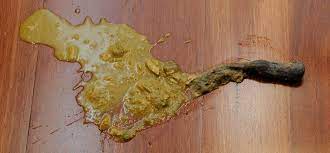 See full list on pets.webmd.com Hairballs In Cats How To Prevent Them When To Worry